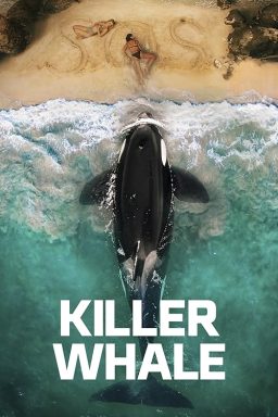 Killer Whale - 2026