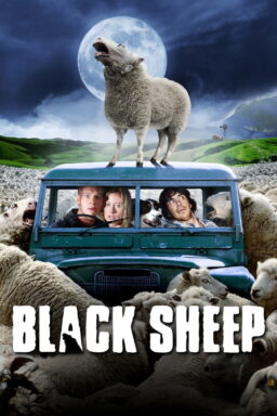 Black Sheep - 2006