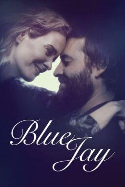 Blue Jay - 2016
