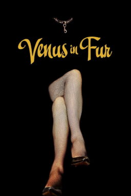 Venus in Fur - 2013
