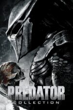 Predator